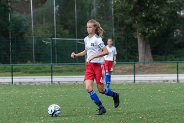 Bild 114 - C-Juniorinnen HSV - Walddoerfer : Ergebnis: 9:1